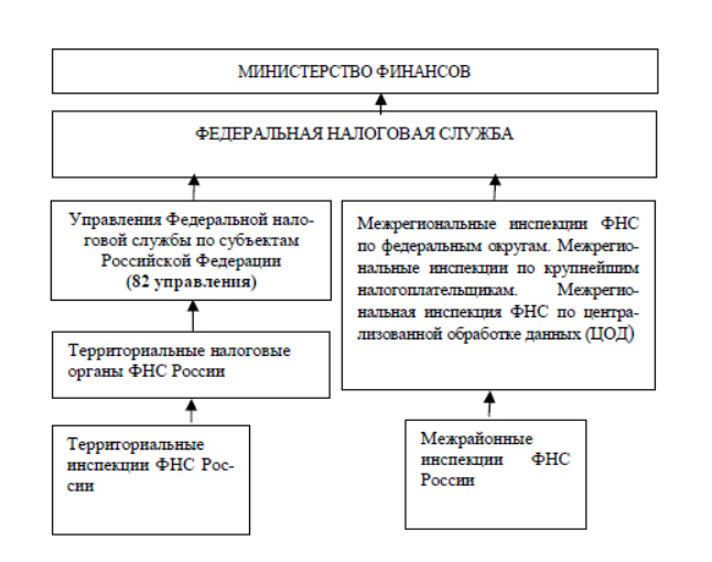 Деятельность фнс. Система органов Федеральной налоговой службы. Централизованная система налоговых органов. Полномочия Министерства финансов РФ, Федеральной налоговой службы РФ. Структура и направления деятельности Министерства финансов РФ.