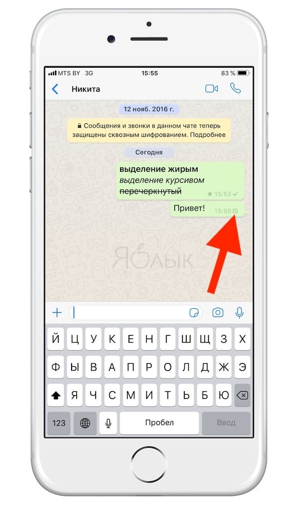 Значок часов на сообщении в Whatsapp: что это?