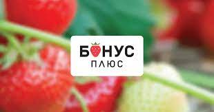 Что делать, если пришло sms от «Бонус Плюс»: как потратить бонусы